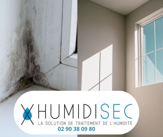 La condensation endommage les murs HUMIDISEC a la solution28:1